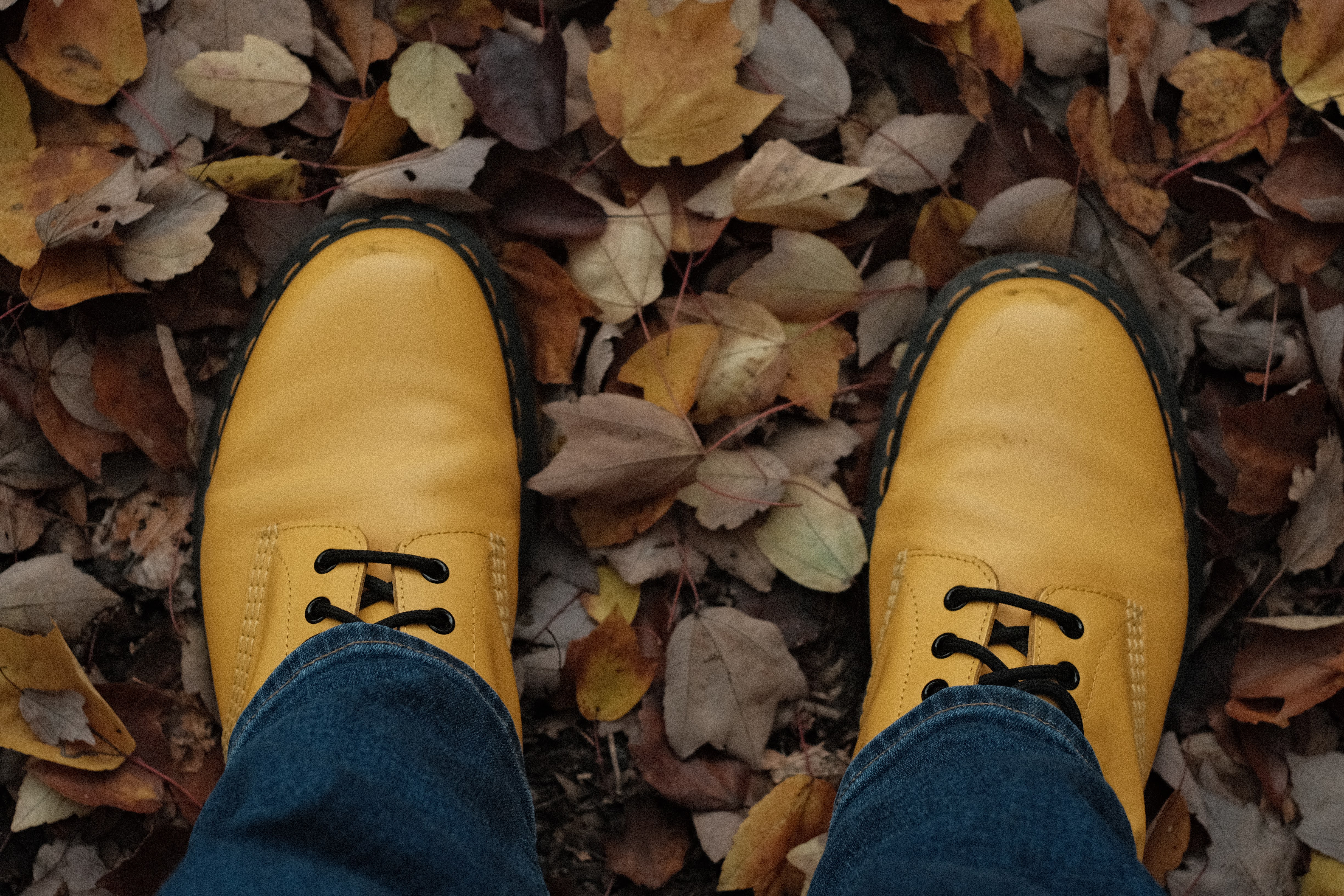 YellowShoes